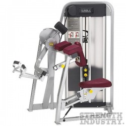 Cybex Arm Curl Cybex Eagle Series