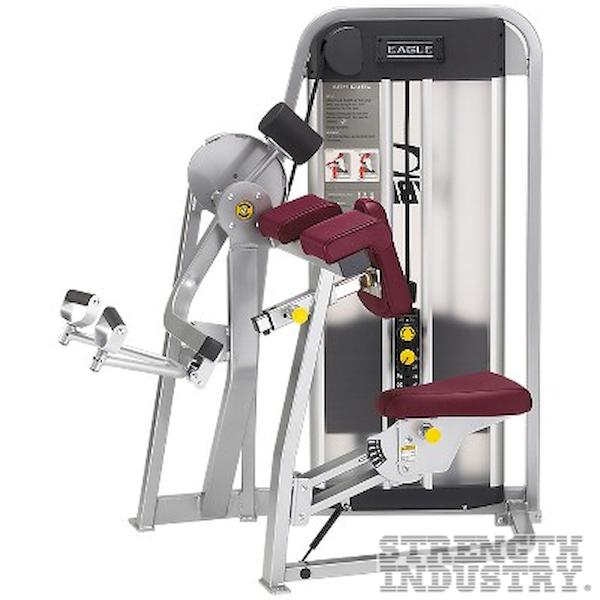 Cybex Arm Curl Cybex Eagle Series Cybex Arm Curl Cybex Eagle Series