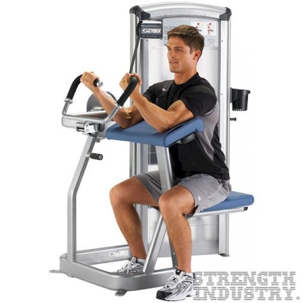 Cybex Arm Curl Cybex VR3 Series Cybex Arm Curl Cybex VR3 Series