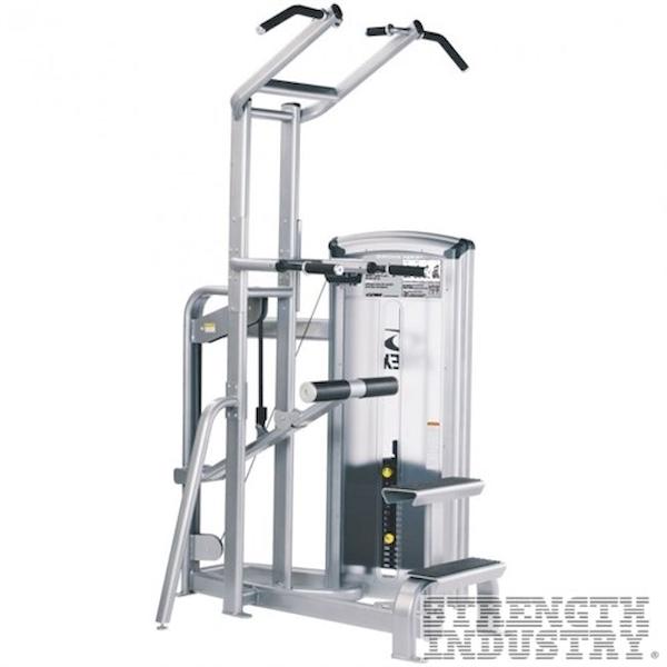 Cybex Dip/Chin Assist Cybex VR3 Series Cybex Dip/Chin Assist Cybex VR3 Series