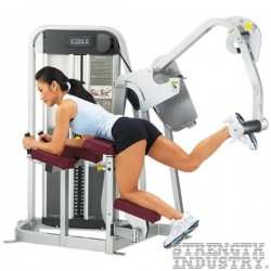 Cybex Eagle Series