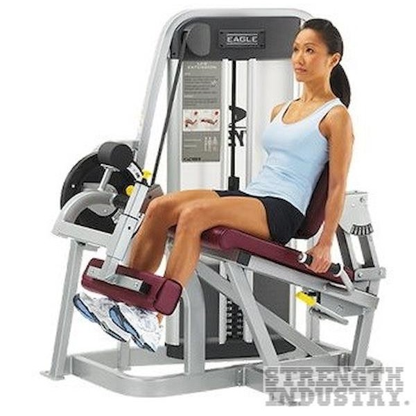 Cybex Leg Extension Cybex Eagle Series