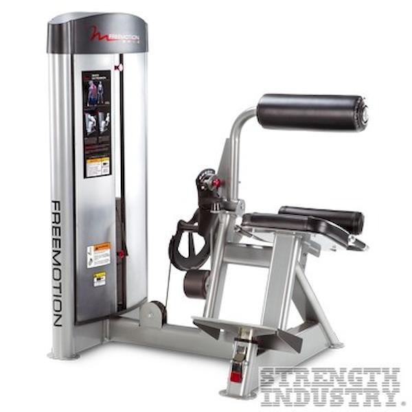 FreeMotion Back Extension FreeMotion Epic Series FreeMotion Back Extension FreeMotion Epic Series
