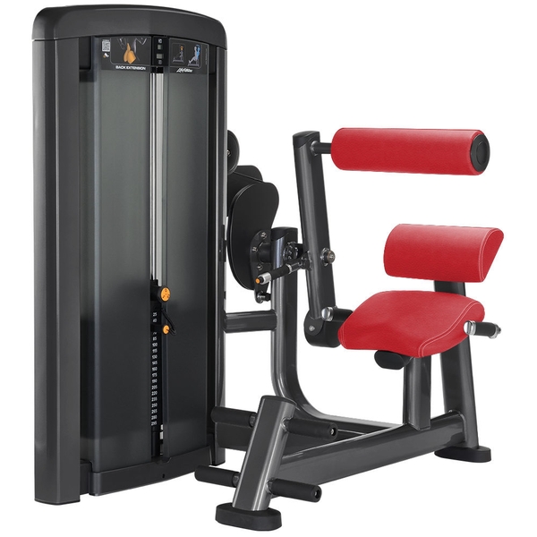 Life Fitness Back Extension Life Fitness Insignia Series