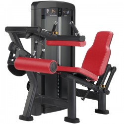 Insignia Seated Leg Curl Life Fitness Insignia Series