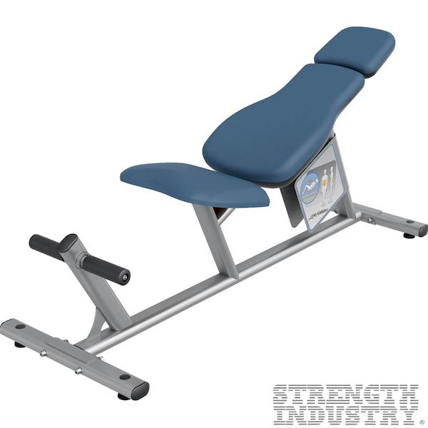 Life Fitness Ab Curl Bench Life Fitness Circuit Series