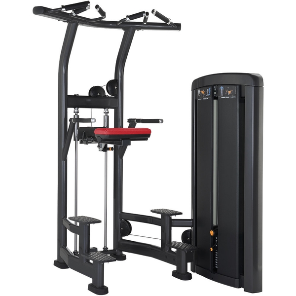 Life Fitness Assist Dip Chin Life Fitness Insignia Series