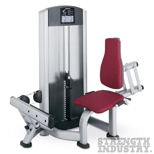 Life Fitness Calf Extension Life Fitness Signature Series 