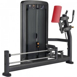 Life Fitness Glute Life Fitness Insignia Series