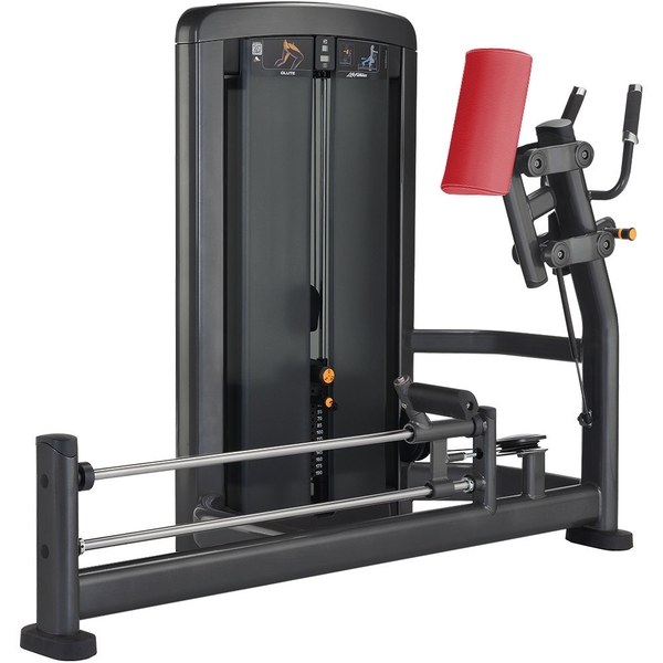 Life Fitness Glute Life Fitness Insignia Series Life Fitness Glute Life Fitness Insignia Series