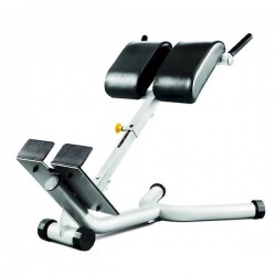 Magnum Back Extension Bench Free Weight