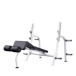 Olympic Decline Bench  Magnum Fitness Free Weight