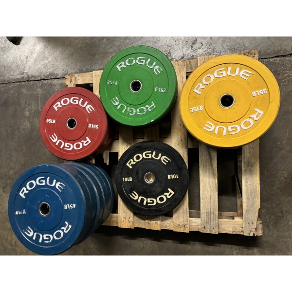 ROGUE COLOR ECHO BUMPER PLATES Used Weights ROGUE COLOR ECHO BUMPER PLATES Used Weights