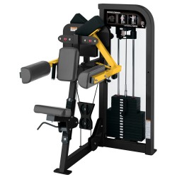 Select Lateral Raise Hammer Strength Select