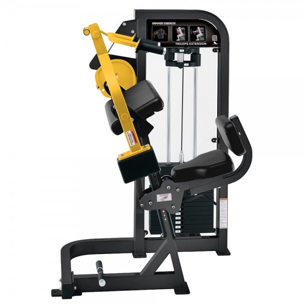 Life Fitness Triceps Extension Life Fitness Pro2  Series