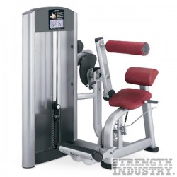 Signature Back Extension Life Fitness Signature Series 