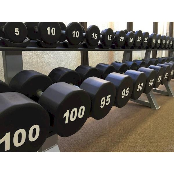 SPARTAN BASF 5-100 lbs. Polyurethane Dumbbells Dumbbells
