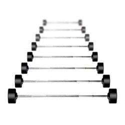 SPARTAN Urethane Encased Barbell 20-110 Fixed Barbells