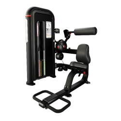 StarTrac Nautilus Inspiration® Back Extension  