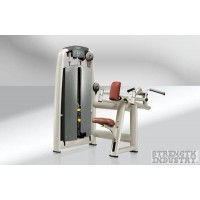 Technogym Upper Back