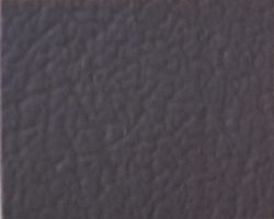 Upholstery_Colors Coal