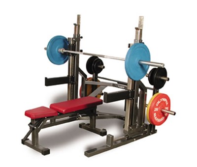 Pioneer Free weight Package